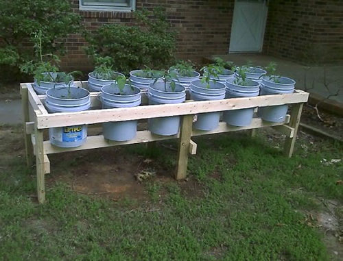 DIY Plastic Bucket Raised Garden Beds
