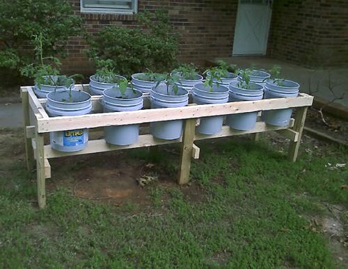 DIY Plastic Bucket Raised Garden Beds