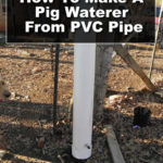 DIY PVC Pig Waterer