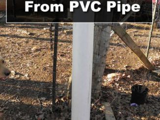DIY PVC Pig Waterer