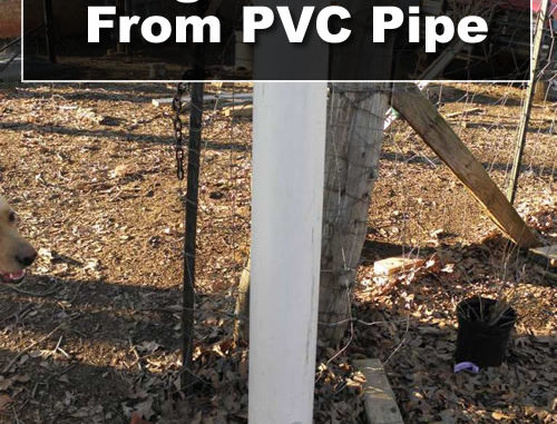 DIY PVC Pig Waterer