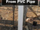 DIY PVC Pig Waterer