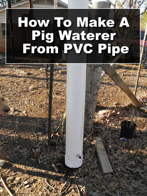 DIY PVC Pig Waterer
