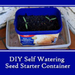 DIY Self Watering Seed Starter Containers