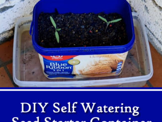 DIY Self Watering Seed Starter Containers