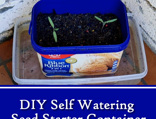 DIY Self Watering Seed Starter Containers