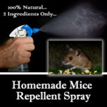Homemade Mice Repellent Spray