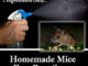Homemade Mice Repellent Spray