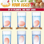 How Fresh Are Your Chicken Eggs?