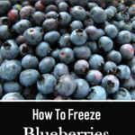How To Freeze Blueberries