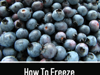 How To Freeze Blueberries