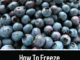 How To Freeze Blueberries