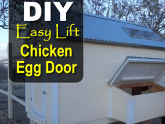 DIY Easy Lift Chicken Egg Door