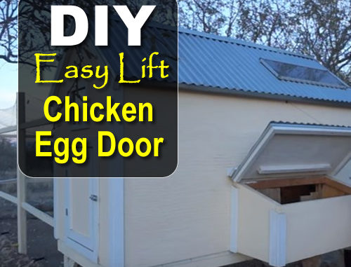 DIY Easy Lift Chicken Egg Door