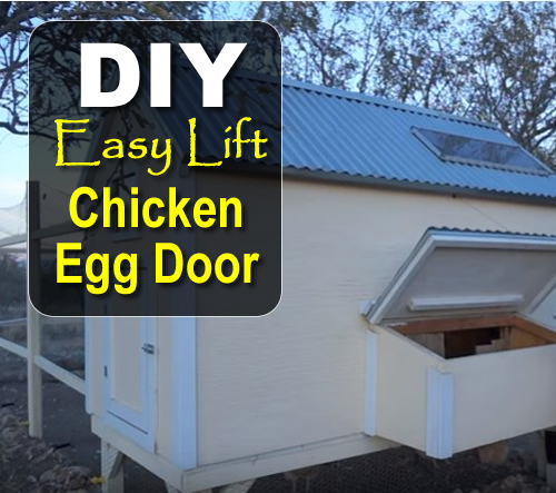 DIY Easy Lift Chicken Egg Door