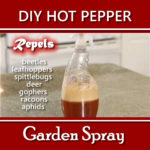 DIY Hot Pepper Garden Spray