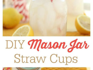 DIY Mason Jar Straw Cups