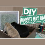 DIY Plastic Rabbit Hay Rack