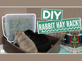 DIY Plastic Rabbit Hay Rack