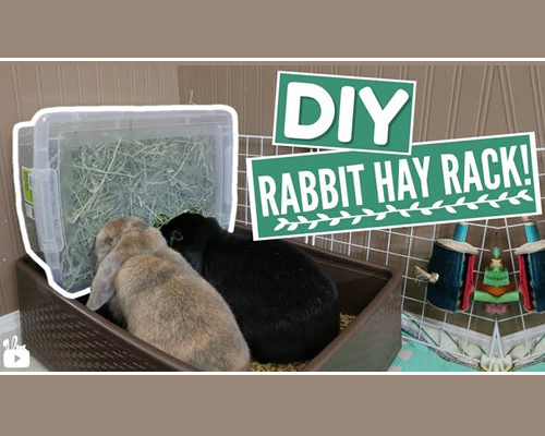 DIY Plastic Rabbit Hay Rack