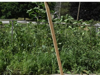 DIY Potato Hiller