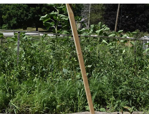 DIY Potato Hiller