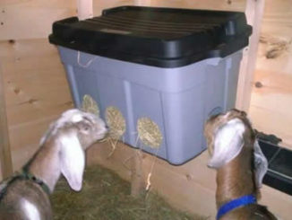 DIY Storage Container Goat Feeder