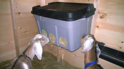 DIY Storage Container Goat Feeder