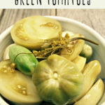 Fermented Green Tomatoes Recipe