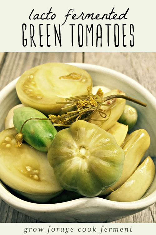 Fermented Green Tomatoes Recipe