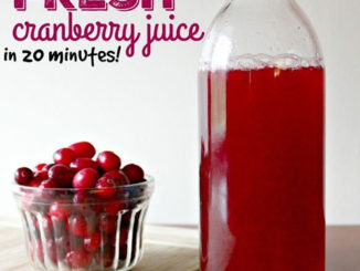 Homemade Fresh Cranberry Juice Recipe