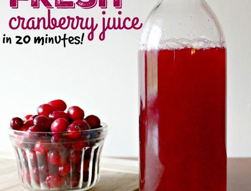 Homemade Fresh Cranberry Juice Recipe