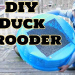 DIY Kiddie Pool Duck Brooder
