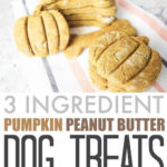 Homemade Pumpkin Peanut Butter Dog Treats