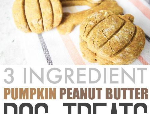 Homemade Pumpkin Peanut Butter Dog Treats