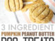 Homemade Pumpkin Peanut Butter Dog Treats
