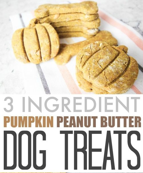 Homemade Pumpkin Peanut Butter Dog Treats