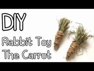 DIY Rabbit Carrot Toy