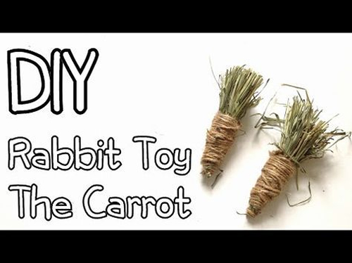 DIY Rabbit Carrot Toy