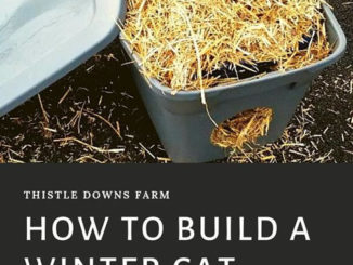 DIY Winter Cat Shelter