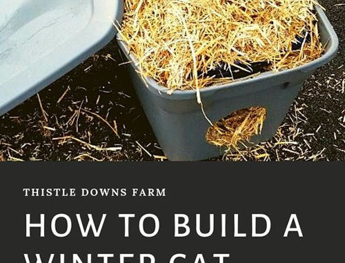 DIY Winter Cat Shelter