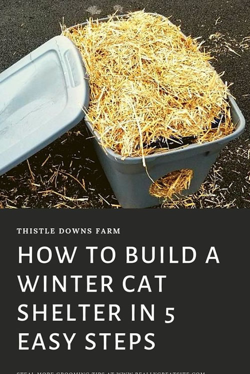DIY Winter Cat Shelter