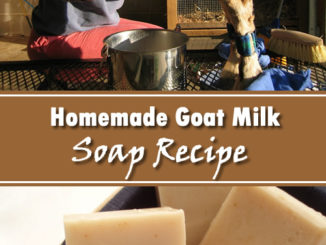 Homemade Goat Milk Soap
