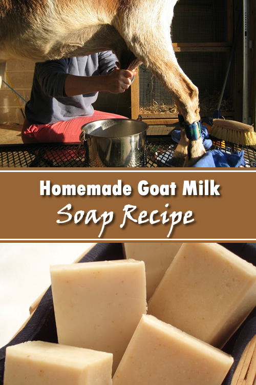 Homemade Goat Milk Soap