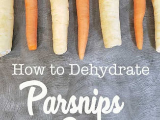 How To Dehydrate Parsnips