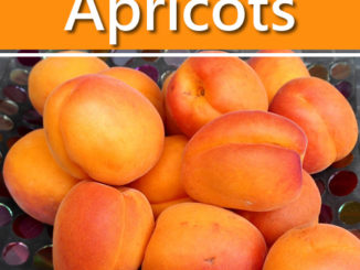 Canning Apricots Recipe