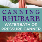 Canning Rhubarb Recipe