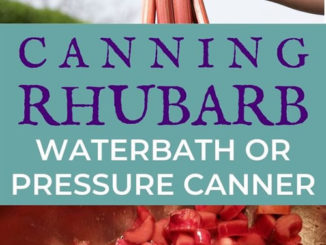 Canning Rhubarb Recipe
