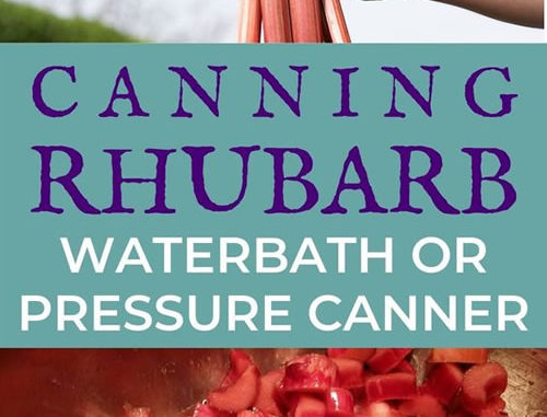 Canning Rhubarb Recipe