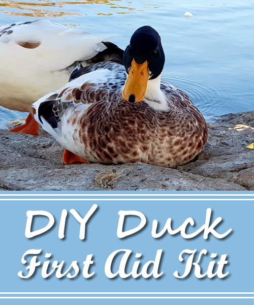 DIY Duck First Aid Kit
